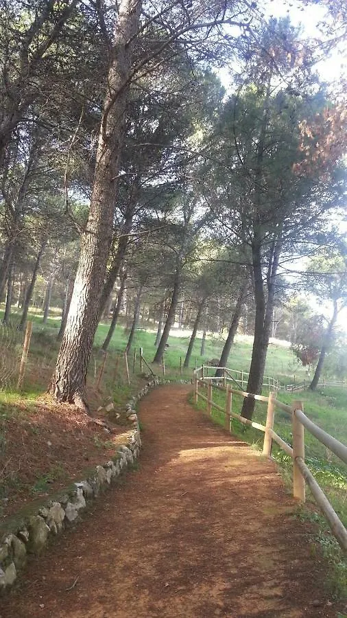 El Duende Del Tejar Hotel El Gastor Guest house